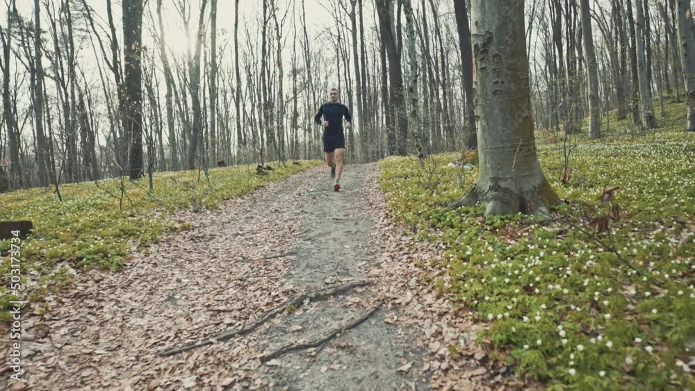 wide 4k slow motion shot of sporty man running in beautiful spring forest. Sport and wellness concept wide 4k slow motion shot of sporty man running in beautiful spring forest. Sport and wellness concept