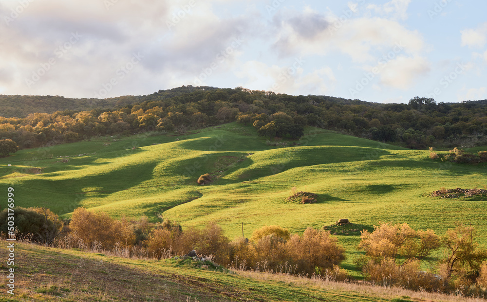 green hill meadow sunny mountain