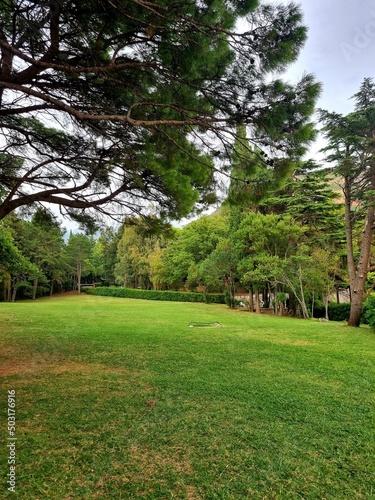 beautiful view of the park near riverside and Sveti Stefan island. Resort includes the islet of Sveti Stefan and part of the mainland. Ancient houses and plants from medieval times. 