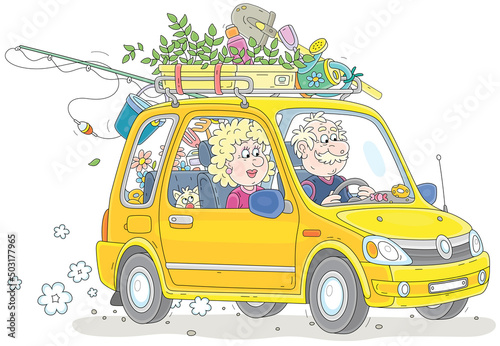 Happy grandpa and grandma with a funny cat, household things and seedlings driving in their car to the country on summer vacation, vector cartoon illustration on white