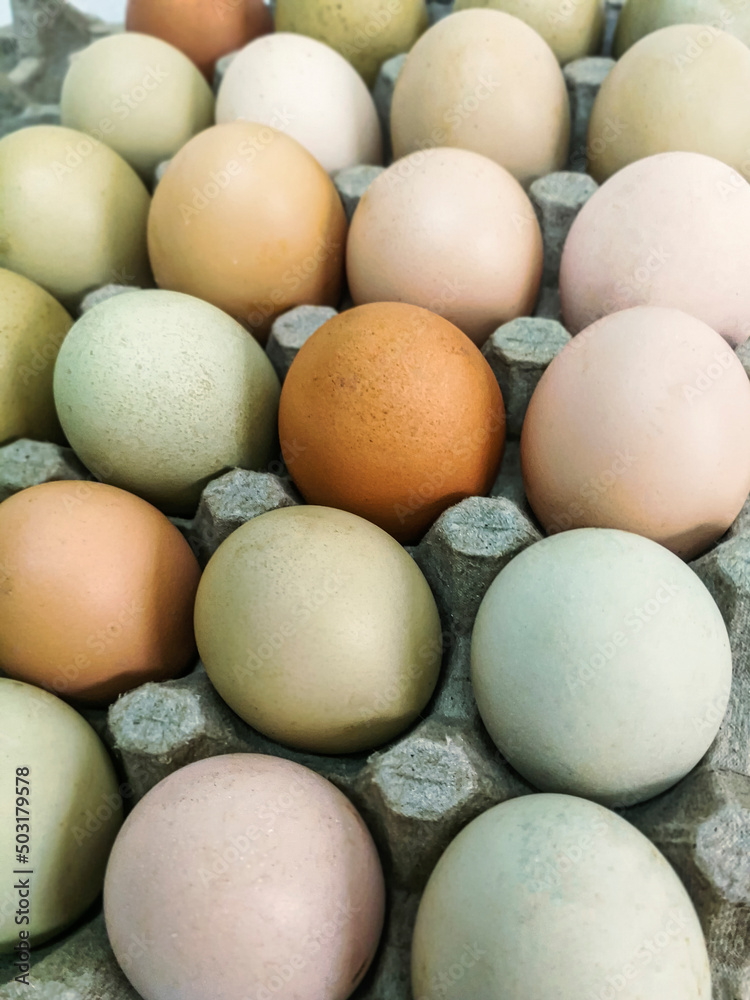Huevos organicos frescos de granja con cáscaras multicolores Huevos organicos frescos de granja con cáscaras multicolores