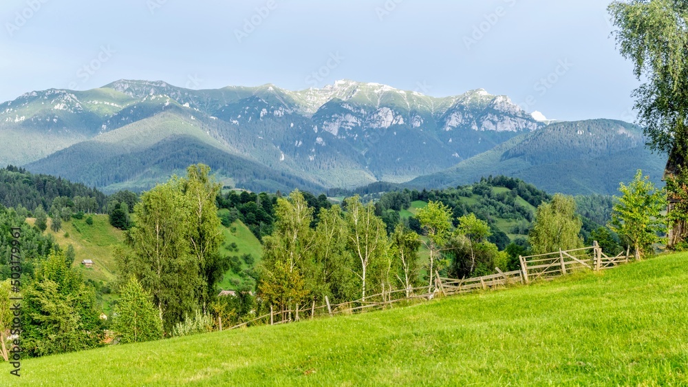Mountains landscape in the background with green pasture and trees in the foreground