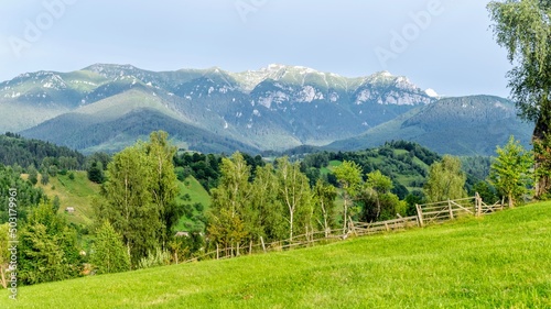 Mountains landscape in the background with green pasture and trees in the foreground © Cristina