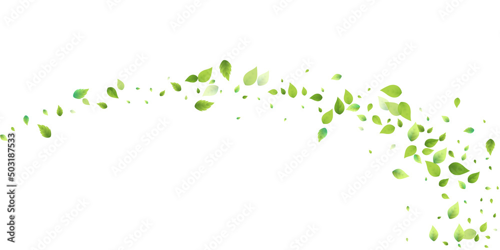 Leaves Green Falling Flying Foliage Leaf Tea Mint Leaves Green Falling Flying Foliage Leaf Tea Mint