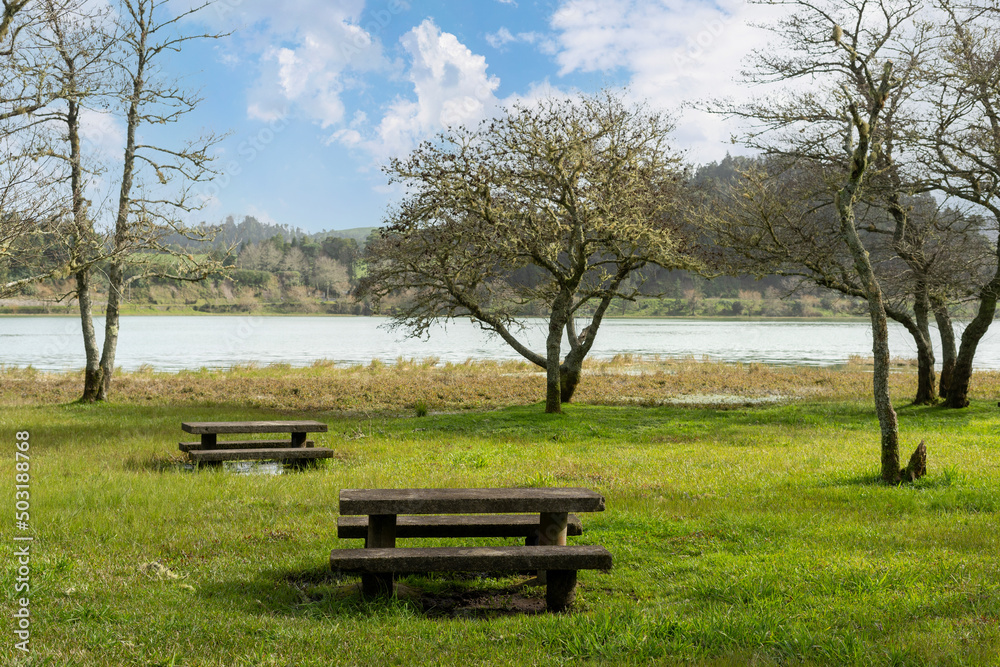 Picnic tables and benches on green meadow grass in park Picnic tables and benches on green meadow grass in park