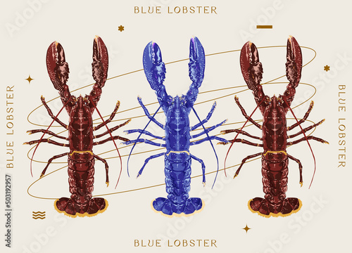 Blue and Red Lobster, Vintage style print