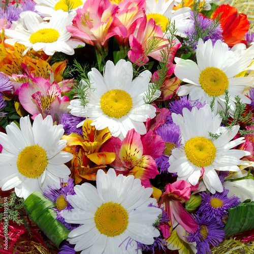 Bouquet of daisies