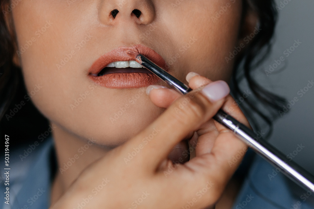 Make-up artist applies pink lipstick. Makeup in the process