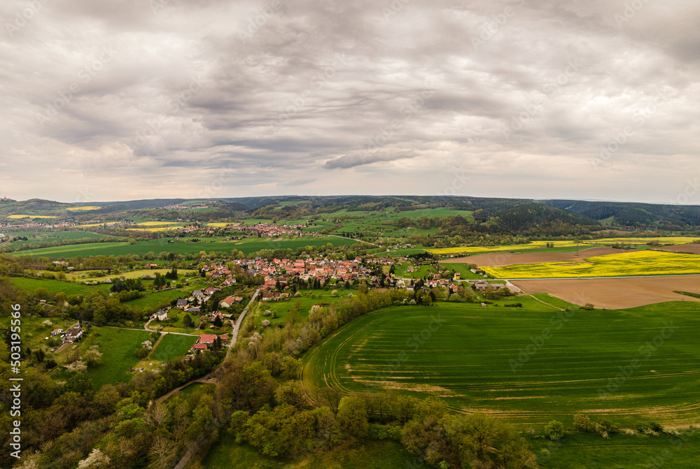 view of vineyards in autumn