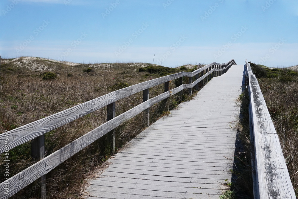 Ascending Boardwalk Up Through the Grassy and Sandy Dunes
