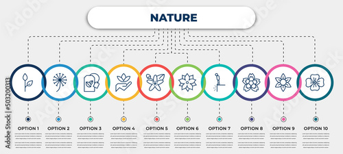 vector infographic template with icons and 10 options or steps. infographic for nature concept. included grow plant, dandelion, green tea, save nature, neroli, pointia, cliff, knapweed, wallflower.