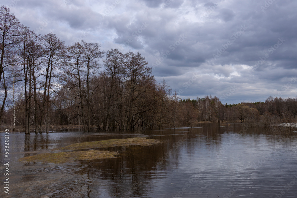 Cloudy spring evening, high water, the river overflowed its banks. Trees without foliage in early spring in the background.