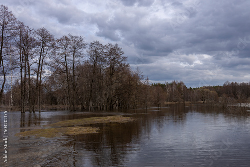 Cloudy spring evening, high water, the river overflowed its banks. Trees without foliage in early spring in the background.