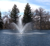 Aerating fountain in a park pond attracts gulls and other birds. The water spray is framed by tall pines behind the pond on the bank.