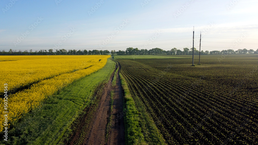 Aerial drone view flight over road between a yellow flowering rapeseed field and a plowed sown field. Aerial drone view flight. Agriculture, agronomy, farming, husbandry, rual, country