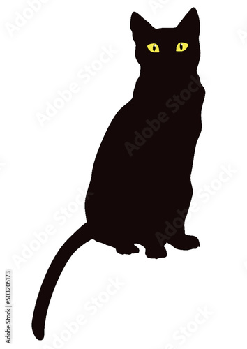 Schwarze Katze sitzt aufrecht