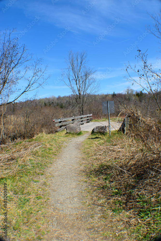 custom made wallpaper toronto digitalCanot Eastman 7 Mai 2022