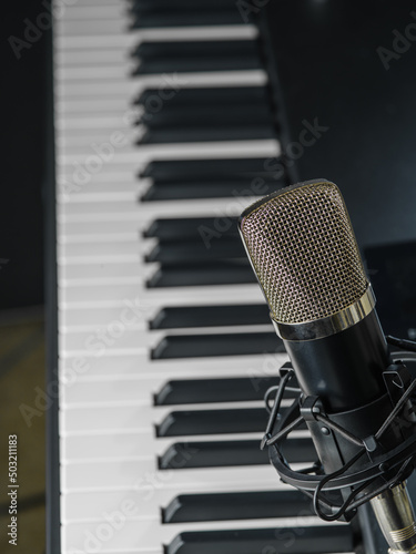 Canvas Print Professional microphone and midi keyboard
