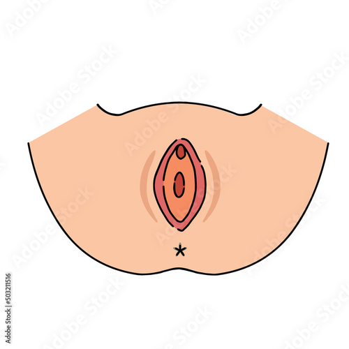 vagina Clip art of female genitalia