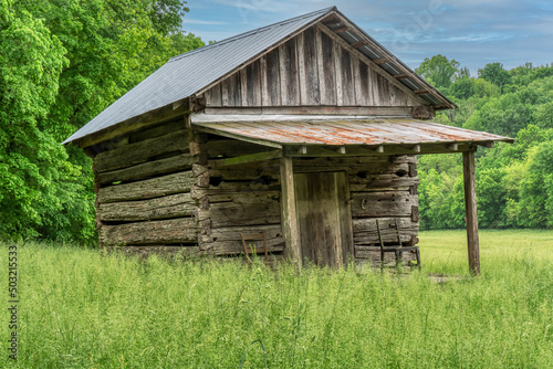 Quadro su tela Old abandoned log cabin with tin roof in a grassy field.