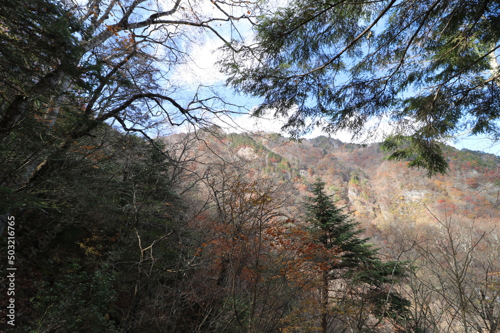 Fototapeta premium 秋の埼玉県秩父の両神山の登山