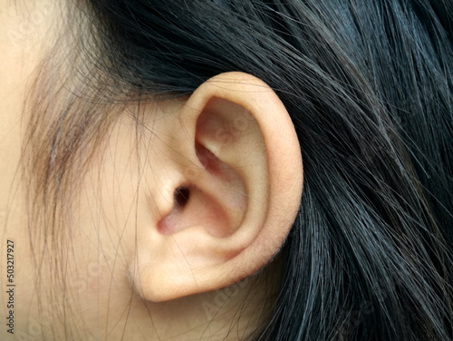 closeup picture of young woman ear,side auricle and black hair of a girl. photo