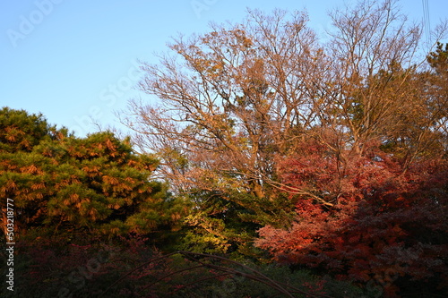 秋の風景