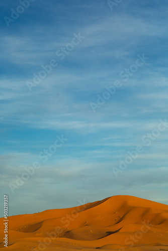 Fototapeta Naklejka Na Ścianę i Meble -  sand dune in the desert