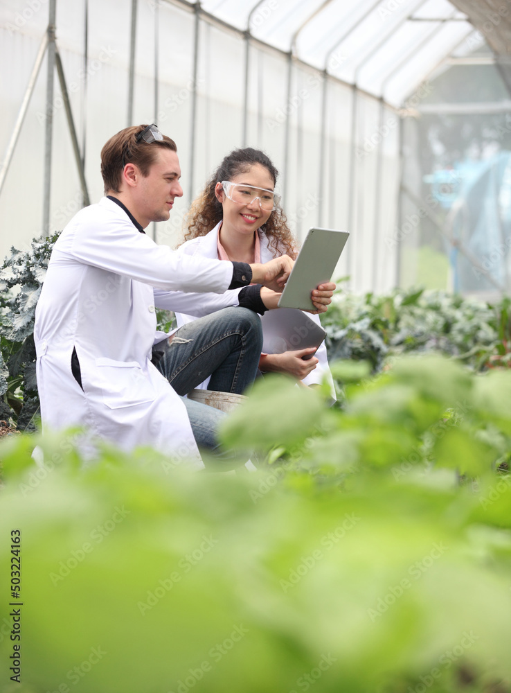 © sittinan - Agricultural Engineers Test Plants Health and Analyze Data with Tablet Computer. Biotechnology  engineer examining plant leaf for disease