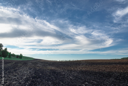 Evening field with black earth and green glade with forest.