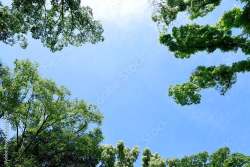 青空