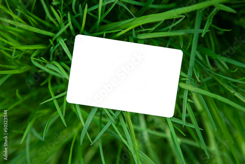 business card mockup on fresh green garden grass lawn. ecology enviroment nature hunt background concept with copy space 