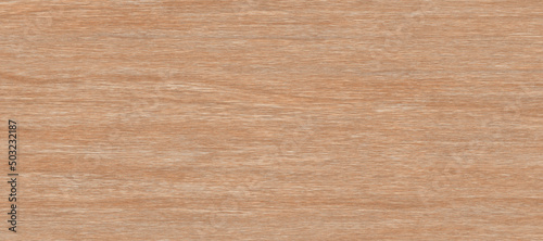 Wood texture background  wood planks. Grunge wood  painted