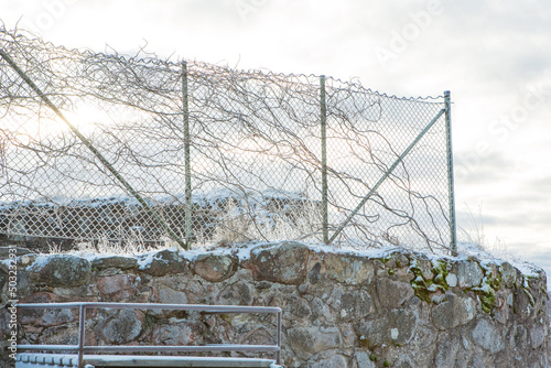 Winter fence on stone wall photo