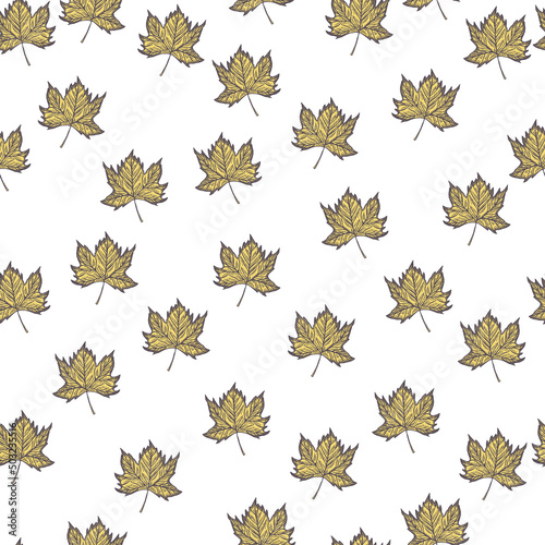 Leaves maple engraved seamless pattern. Vintage background botanical with canadian foliage in hand drawn style.