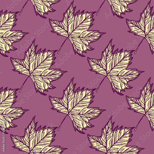 Leaves maple engraved seamless pattern. Vintage background botanical with canadian foliage in hand drawn style.