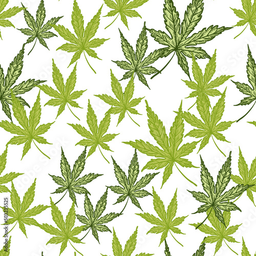 Leaves cannabis engraved seamless pattern. Retro background botanical with leaf marijuana in hand drawn style.