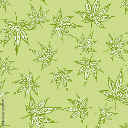 Leaves maple canadian engraved seamless pattern. Vintage background botanical leaf cannabis in hand drawn style.