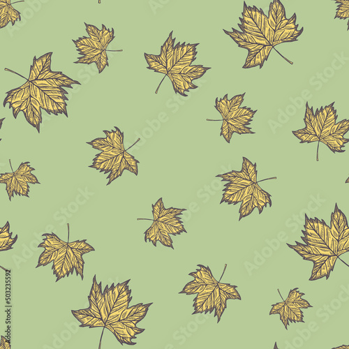 Leaves maple engraved seamless pattern. Vintage background botanical with canadian foliage in hand drawn style.