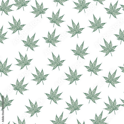 Leaves maple canadian engraved seamless pattern. Vintage background botanical leaf cannabis in hand drawn style.