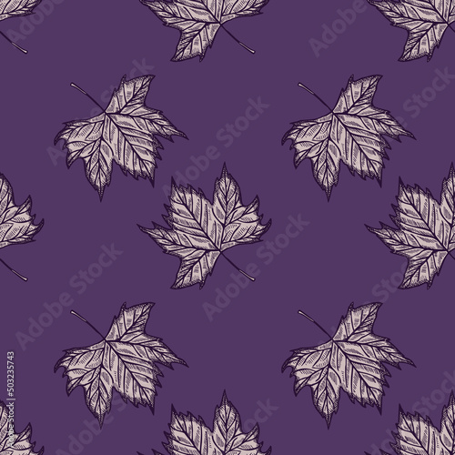 Leaves maple engraved seamless pattern. Vintage background botanical with canadian foliage in hand drawn style.