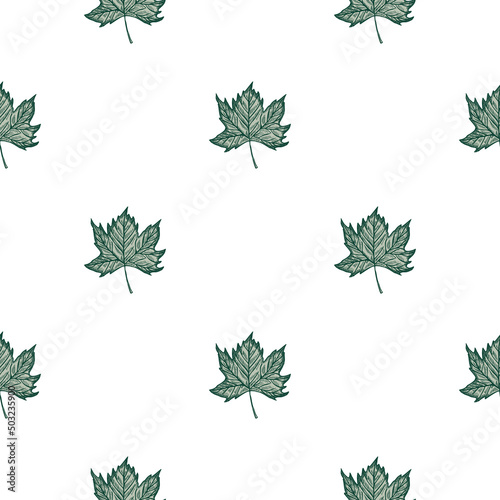 Leaves maple engraved seamless pattern. Vintage background botanical with canadian foliage in hand drawn style.