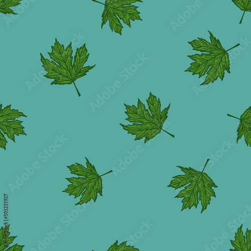 Leaves maple canadian engraved seamless pattern. Vintage background botanical with foliage in hand drawn style.