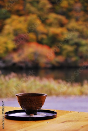 Obraz na płótnie 2012年11月、青森県白神山地の湖畔にて