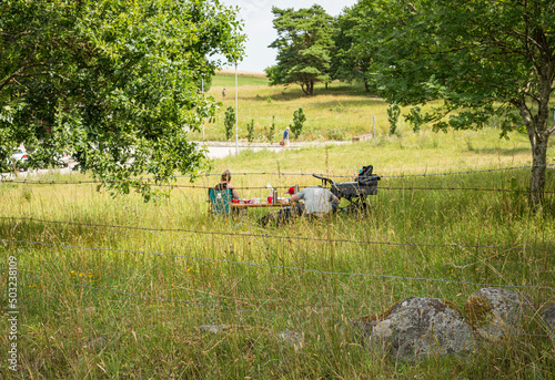 Family having picnic in the grass at Brosarp hills, Osterlen, Sweden photo