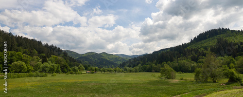 Schwarzwaldpanorama © C. Schüßler
