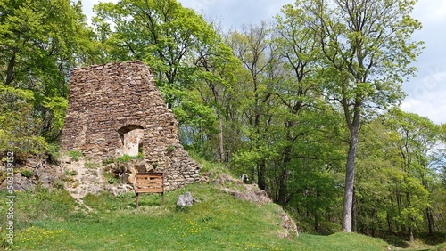 Burgruine Hassenstein