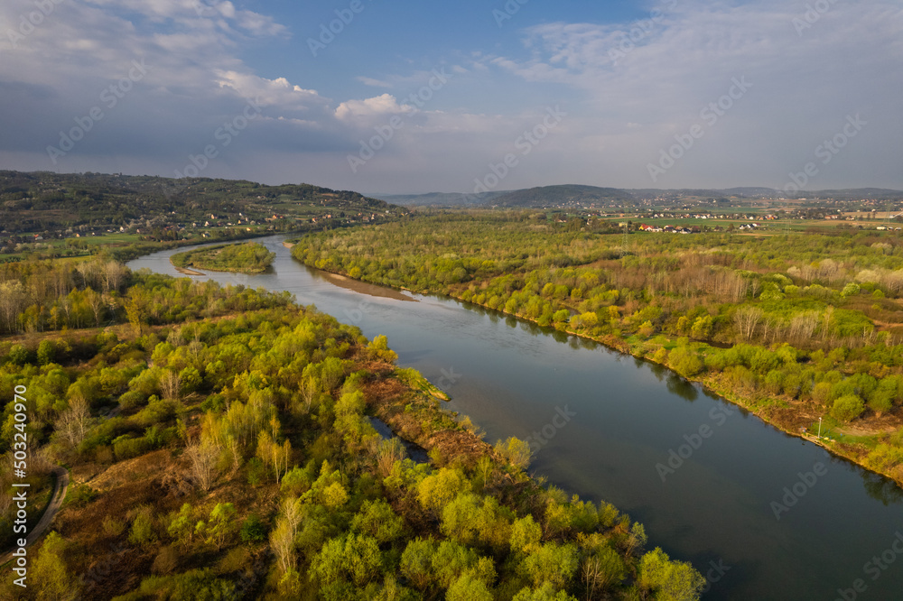 Dunajec River in Lesser Poland at Spring Morning. Aerial Drone View
