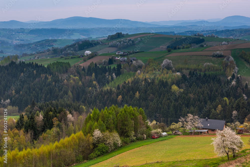 Spring landscape with rolling hills