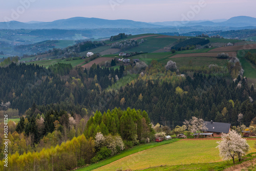 Spring landscape with rolling hills